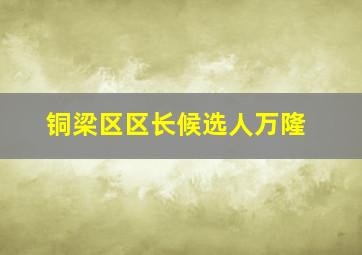 铜梁区区长候选人万隆