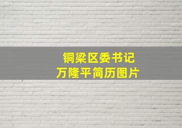 铜梁区委书记万隆平简历图片