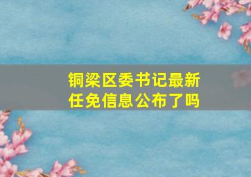 铜梁区委书记最新任免信息公布了吗