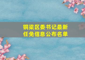 铜梁区委书记最新任免信息公布名单