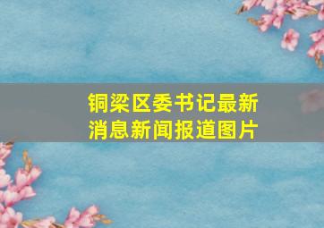 铜梁区委书记最新消息新闻报道图片