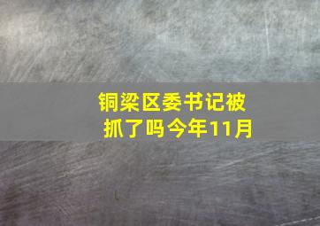 铜梁区委书记被抓了吗今年11月