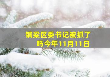 铜梁区委书记被抓了吗今年11月11日