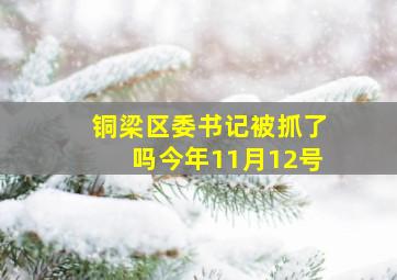 铜梁区委书记被抓了吗今年11月12号