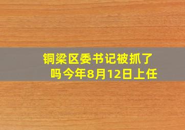 铜梁区委书记被抓了吗今年8月12日上任