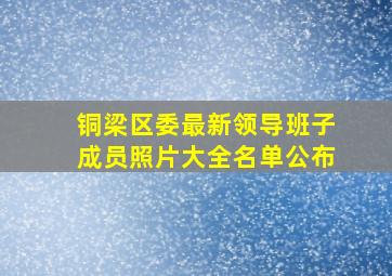 铜梁区委最新领导班子成员照片大全名单公布