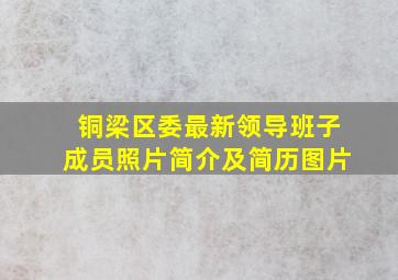 铜梁区委最新领导班子成员照片简介及简历图片