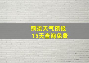 铜梁天气预报15天查询免费