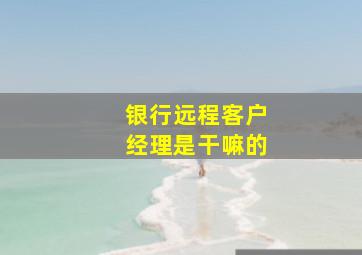 银行远程客户经理是干嘛的