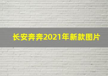 长安奔奔2021年新款图片