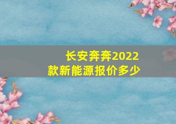 长安奔奔2022款新能源报价多少