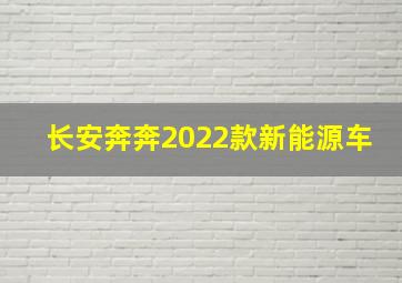 长安奔奔2022款新能源车