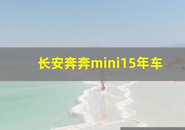 长安奔奔mini15年车