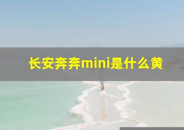 长安奔奔mini是什么黄