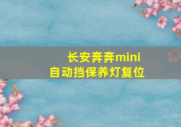 长安奔奔mini自动挡保养灯复位