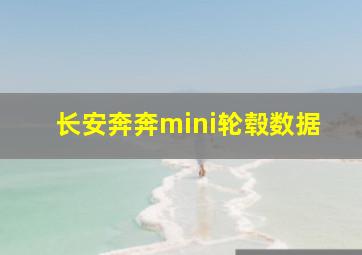 长安奔奔mini轮毂数据