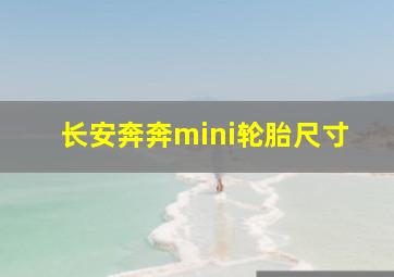 长安奔奔mini轮胎尺寸