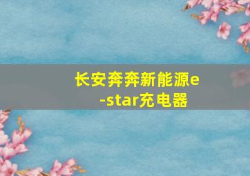 长安奔奔新能源e-star充电器