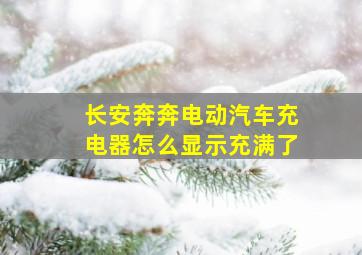 长安奔奔电动汽车充电器怎么显示充满了