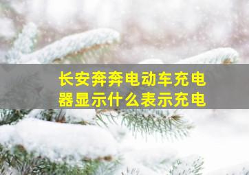 长安奔奔电动车充电器显示什么表示充电