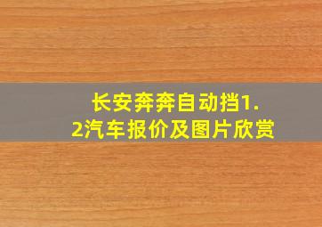 长安奔奔自动挡1.2汽车报价及图片欣赏