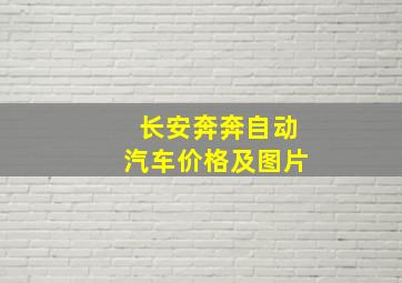 长安奔奔自动汽车价格及图片