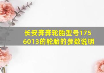 长安奔奔轮胎型号1756013的轮胎的参数说明