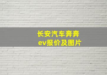 长安汽车奔奔ev报价及图片