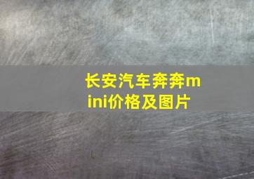 长安汽车奔奔mini价格及图片