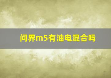 问界m5有油电混合吗