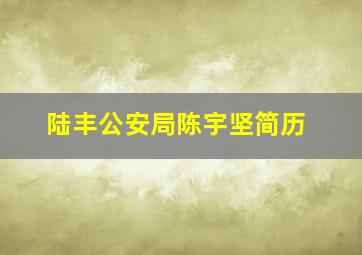 陆丰公安局陈宇坚简历