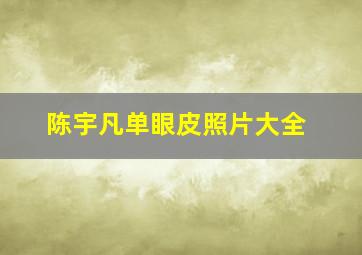 陈宇凡单眼皮照片大全