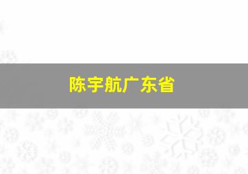 陈宇航广东省