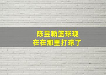 陈昱翰篮球现在在那里打球了