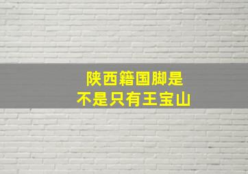 陕西籍国脚是不是只有王宝山