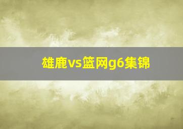 雄鹿vs篮网g6集锦