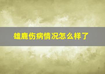 雄鹿伤病情况怎么样了