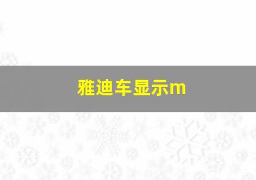 雅迪车显示m