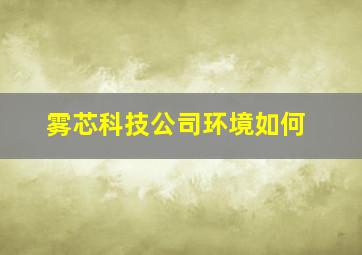 雾芯科技公司环境如何