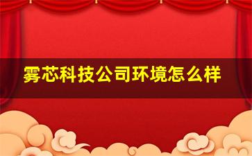 雾芯科技公司环境怎么样