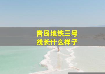 青岛地铁三号线长什么样子