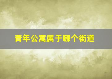 青年公寓属于哪个街道