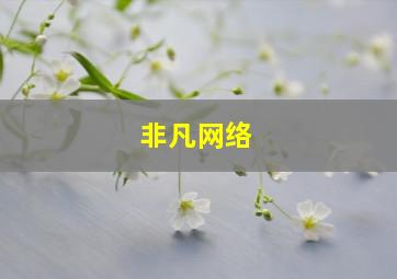 非凡网络