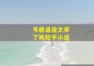 韦德退役太早了吗知乎小说