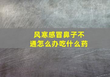 风寒感冒鼻子不通怎么办吃什么药