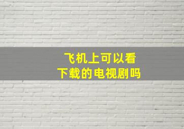 飞机上可以看下载的电视剧吗