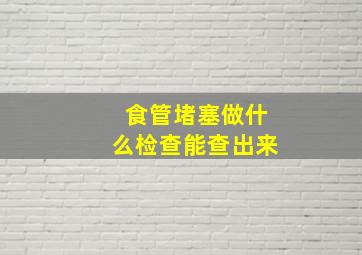 食管堵塞做什么检查能查出来