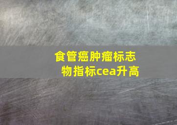 食管癌肿瘤标志物指标cea升高