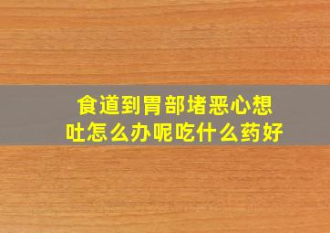 食道到胃部堵恶心想吐怎么办呢吃什么药好