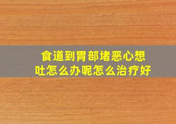 食道到胃部堵恶心想吐怎么办呢怎么治疗好